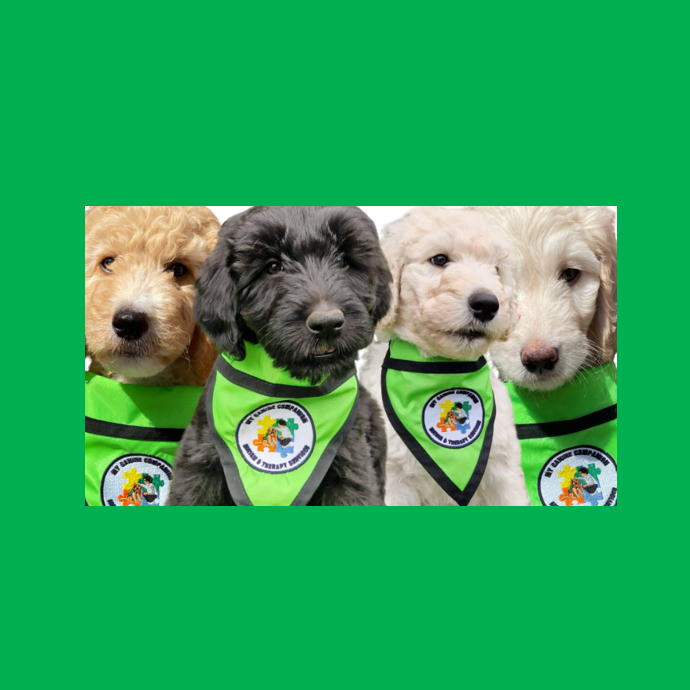 Sponsored Walk