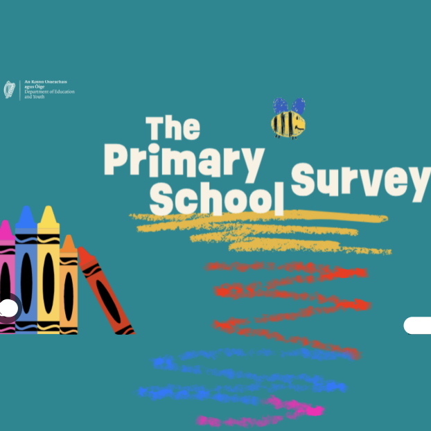 primary school survey logo