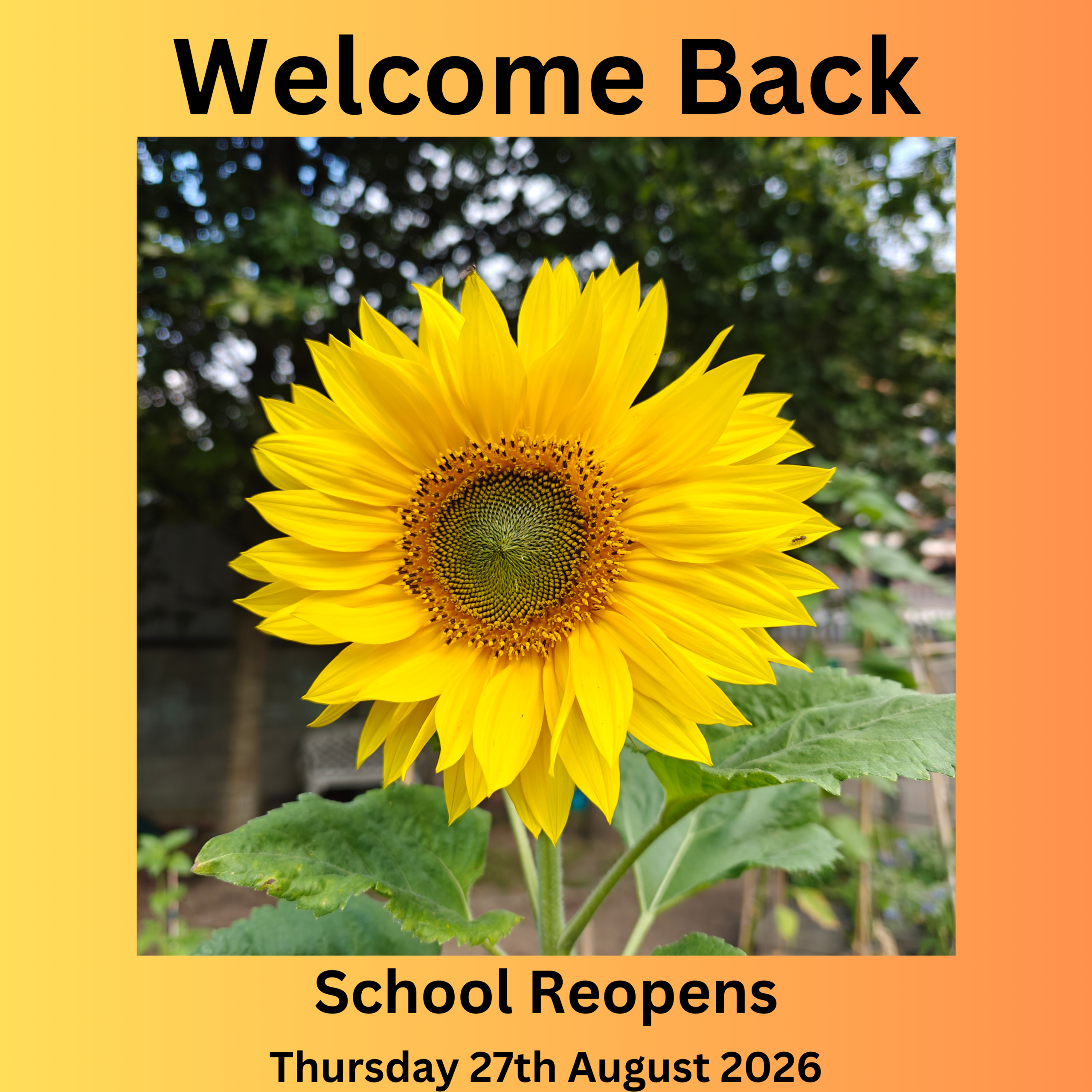 welcome back to RETNS School reopens Thursday 27th August 2026