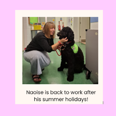 naoise the school dog is in the picture with a teacher